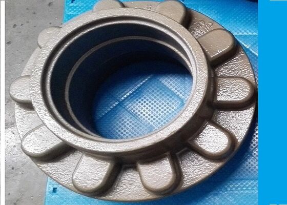 OEM High-Quality FC250 GG25 HT250 Grey Cast Iron Casting Differential Case Small Machining Allowance
