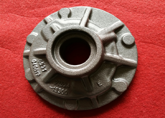 OEM High-Quality FC250 GG25 HT250 Grey Cast Iron Casting Differential Case Small Machining Allowance